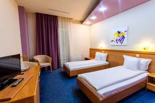 Отель Hotel Torontal Тимишоара Двухместный номер с 1 кроватью или 2 отдельными кроватями-1