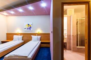 Отель Hotel Torontal Тимишоара Двухместный номер с 1 кроватью или 2 отдельными кроватями-4
